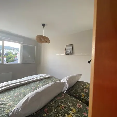 T2 Avec Parking, Loggia, Vue Puy De Dome * クレルモン・フェラン